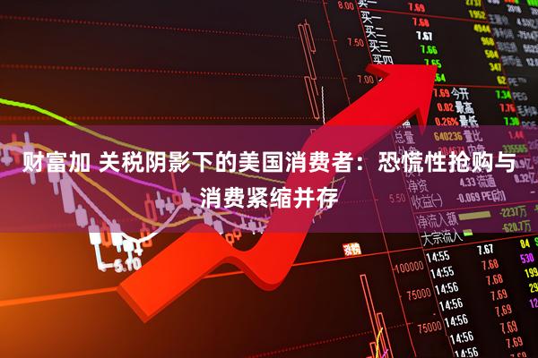 财富加 关税阴影下的美国消费者：恐慌性抢购与消费紧缩并存