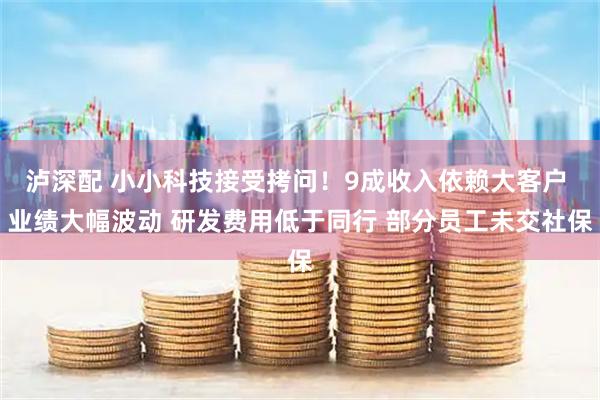 泸深配 小小科技接受拷问！9成收入依赖大客户 业绩大幅波动 研发费用低于同行 部分员工未交社保