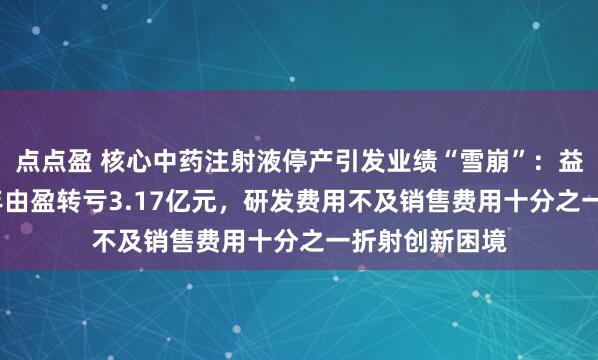 点点盈 核心中药注射液停产引发业绩“雪崩”：益佰制药2024年由盈转亏3.17亿元，研发费用不及销售费用十分之一折射创新困境