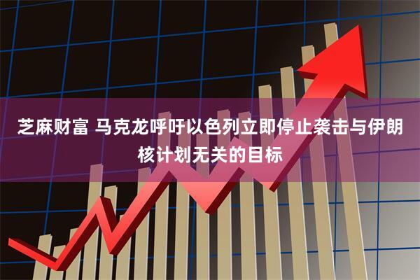 芝麻财富 马克龙呼吁以色列立即停止袭击与伊朗核计划无关的目标