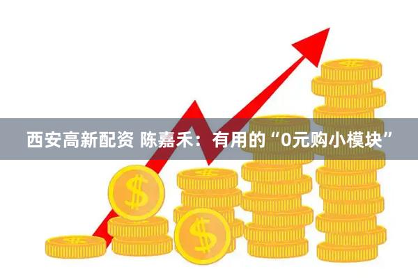 西安高新配资 陈嘉禾：有用的“0元购小模块”