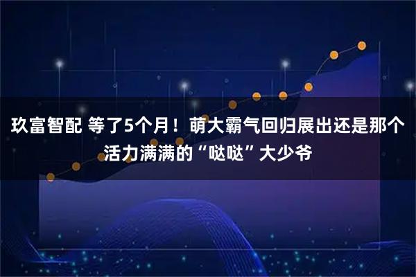 玖富智配 等了5个月！萌大霸气回归展出还是那个活力满满的“哒哒”大少爷
