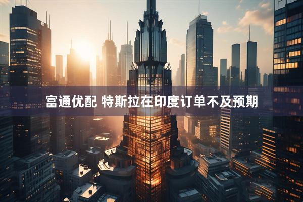 富通优配 特斯拉在印度订单不及预期