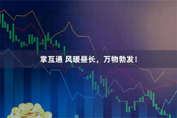 掌互通 风暖昼长，万物勃发！